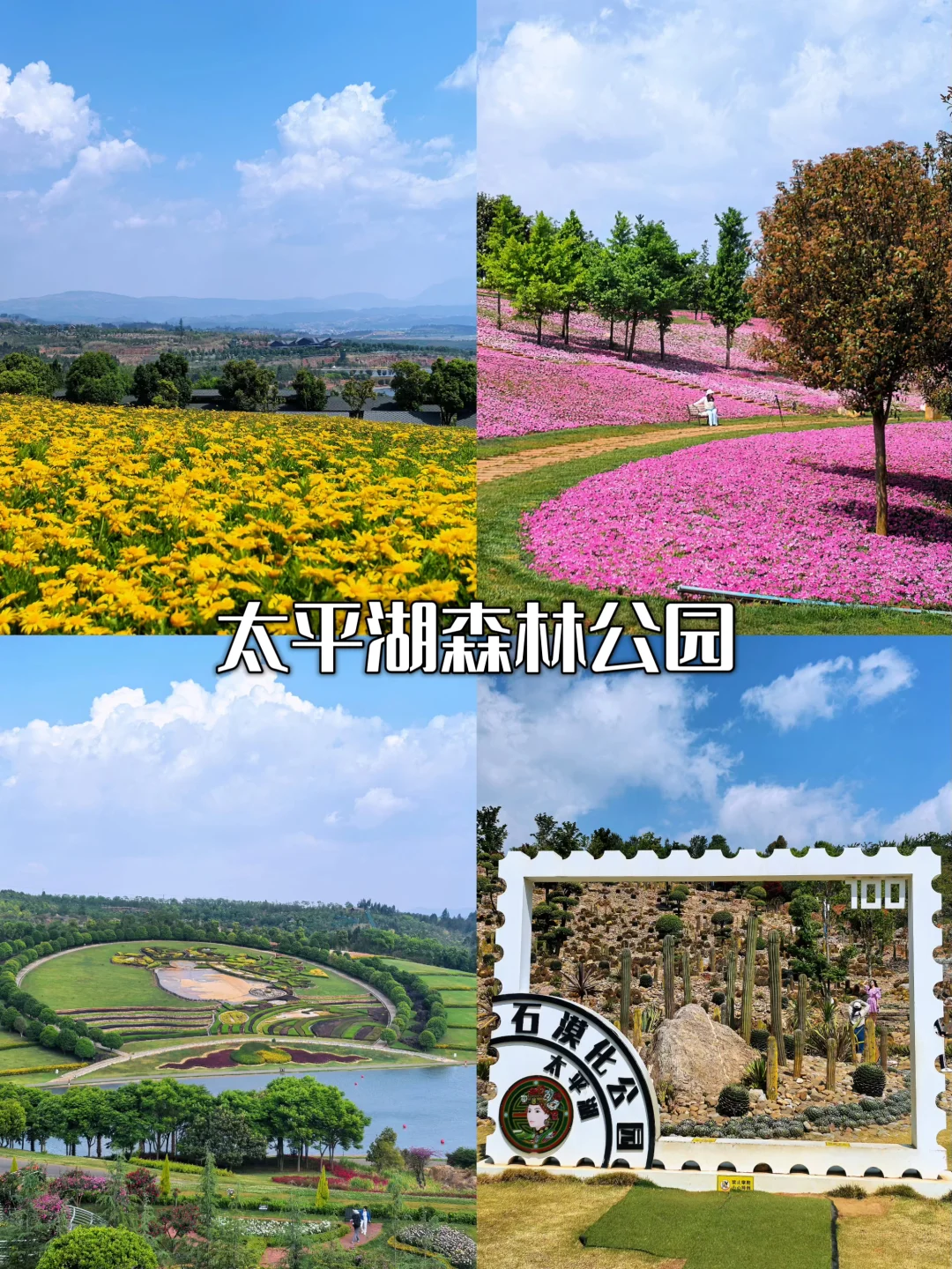 暑假反向旅游❗滇东南环线详细路线攻略⭐️