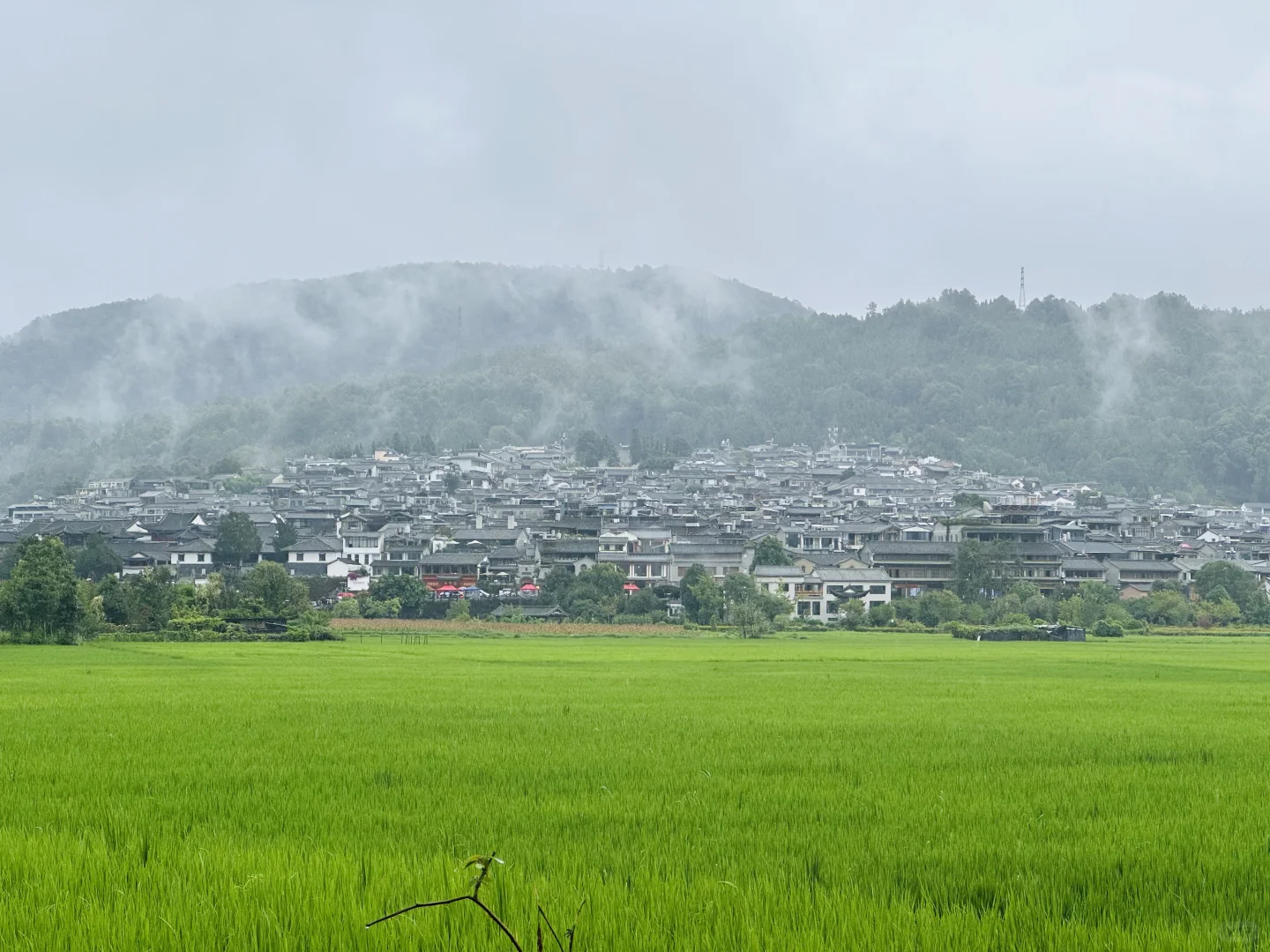 和顺古镇🎫🙅‍♀️🙅‍♀️
