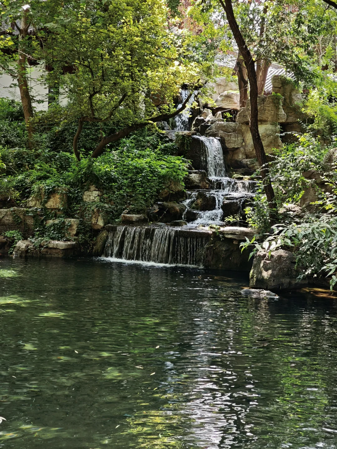 济南一日游记🌸🌸
