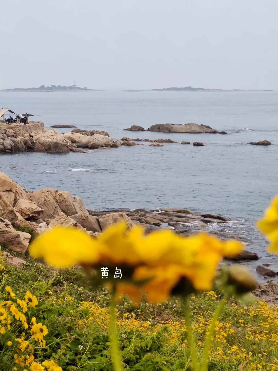 Bye，青岛！！！