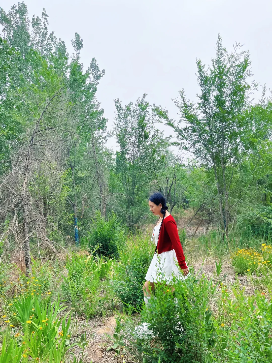 武安九龙山，拍照太好看了😊