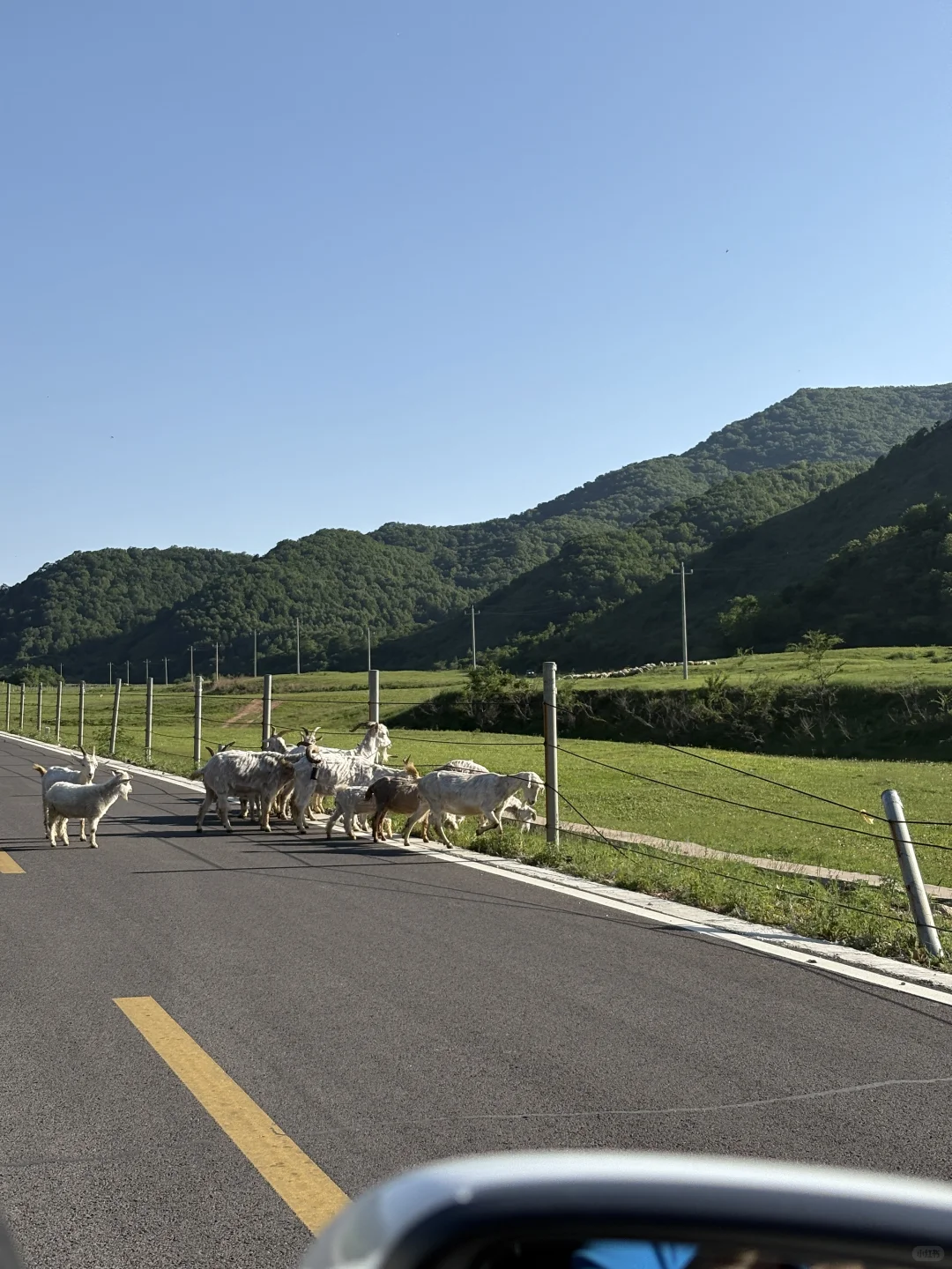 ✨周末逃离北京，去河北草原避暑度假被美哭