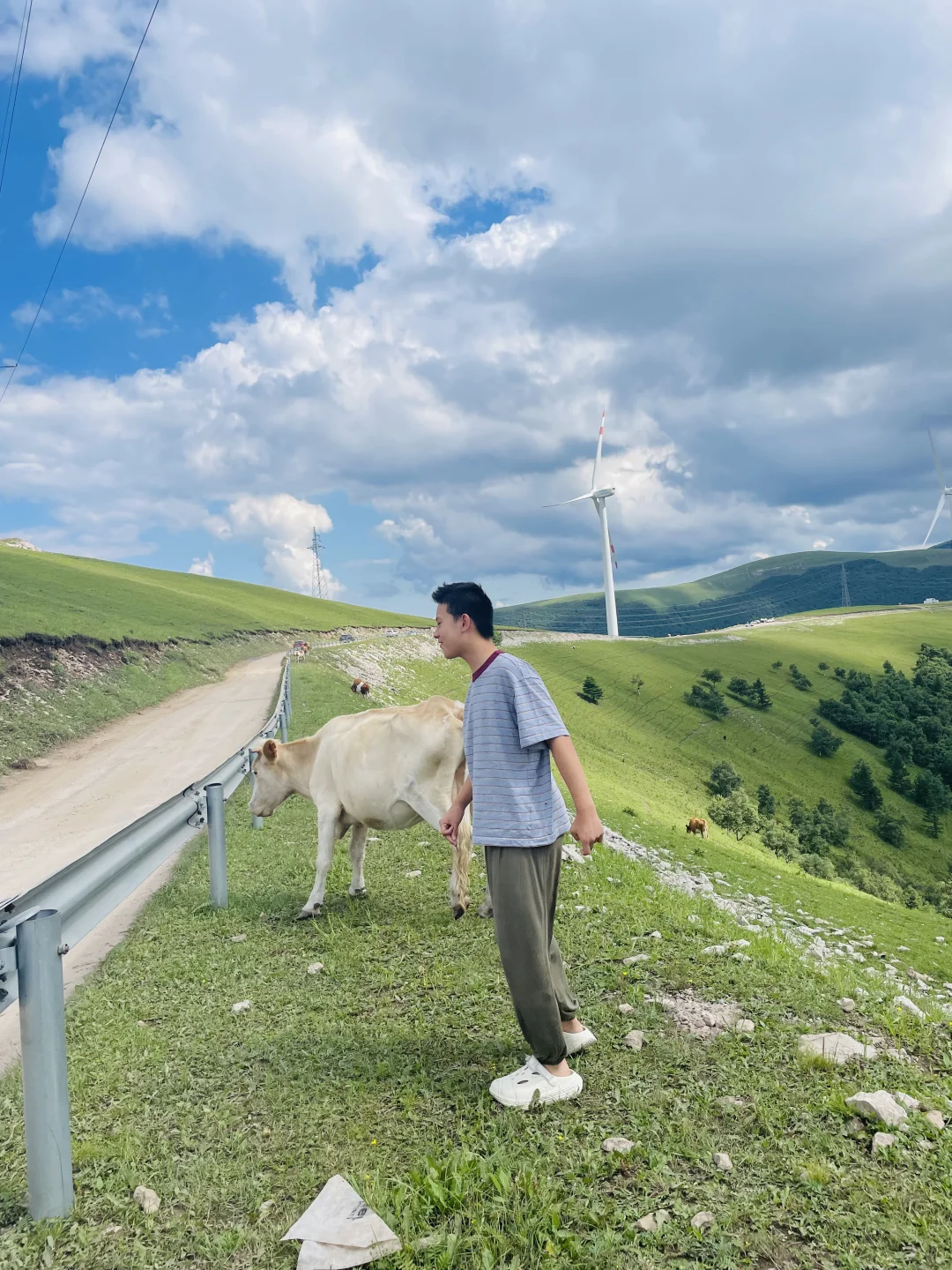 山东德州出发，去河北阿勒泰分泰-茶山