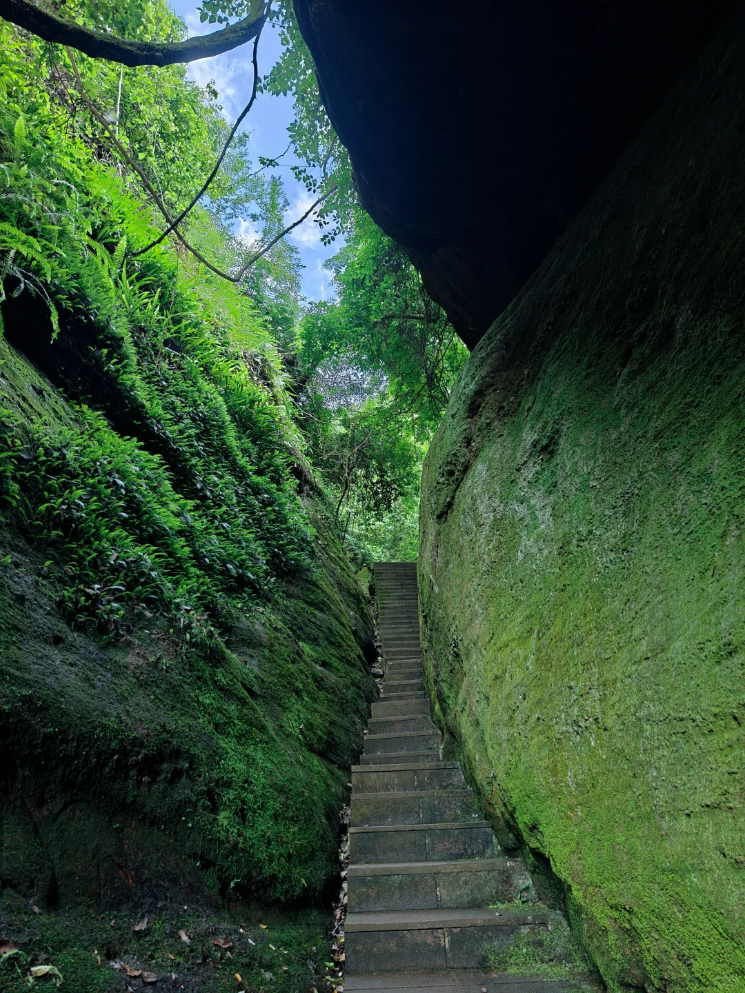 推荐一个超级冷门但好玩到起飞的亲子游路线