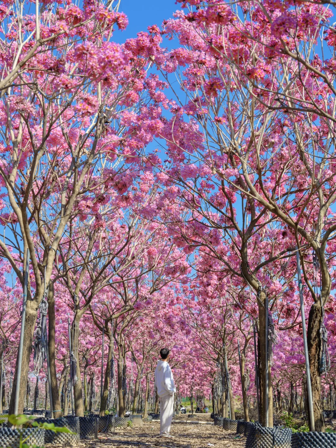 国内旅行 3 年,推荐一个真正被低估的小城