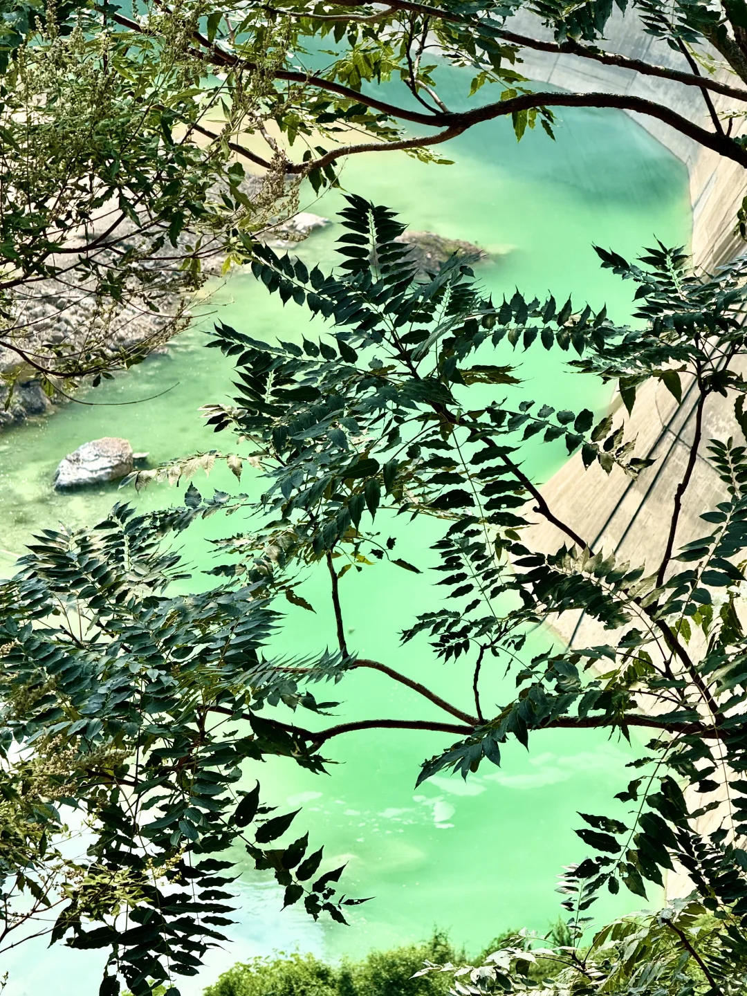 在阿勒泰？不！这是河南济源📍📍