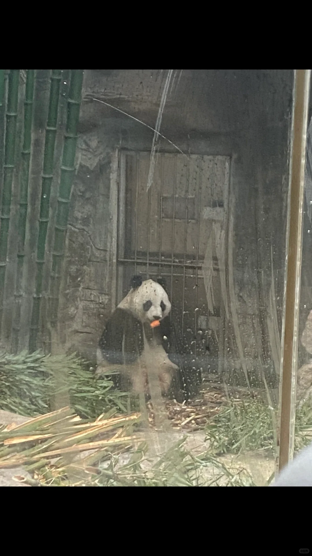 成都旅游不迷路🎈详细景点分布图👉