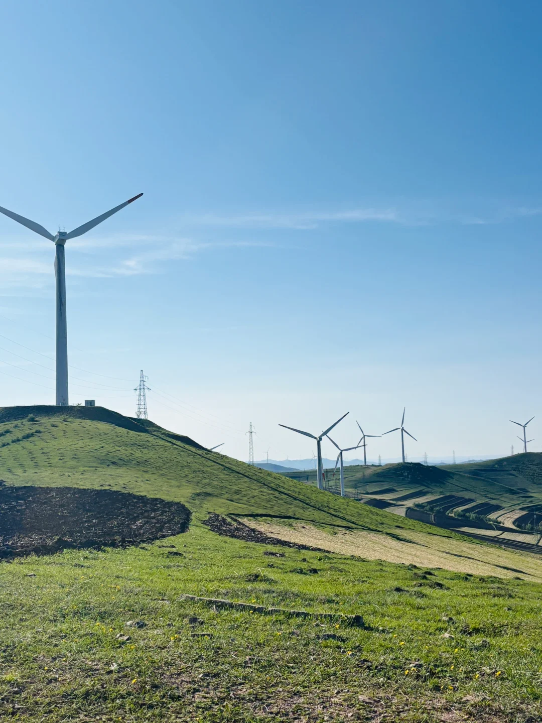 ✨周末逃离北京，去河北草原避暑度假被美哭