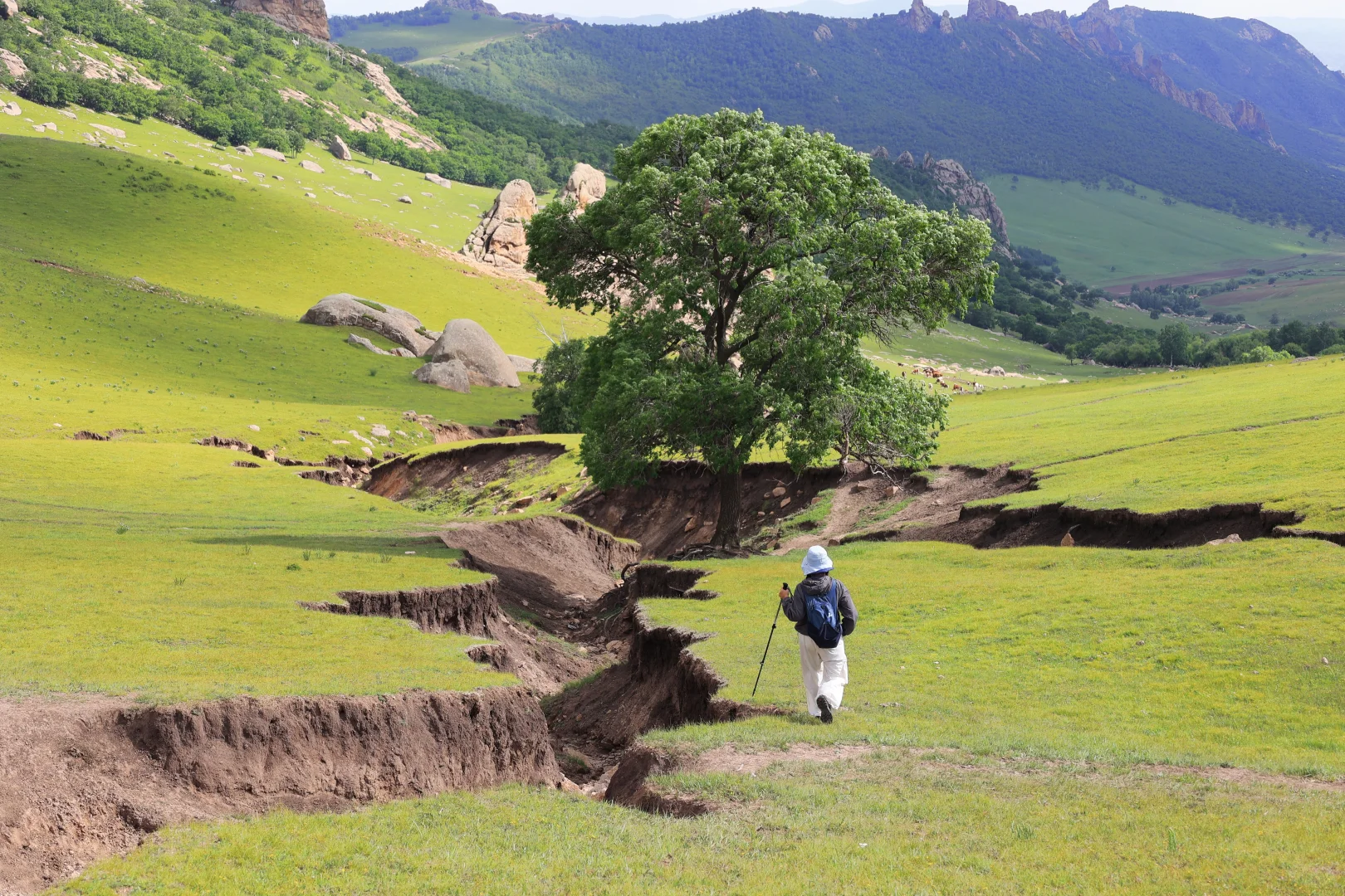 人间塞尔达⛰️下次必须带狗来!