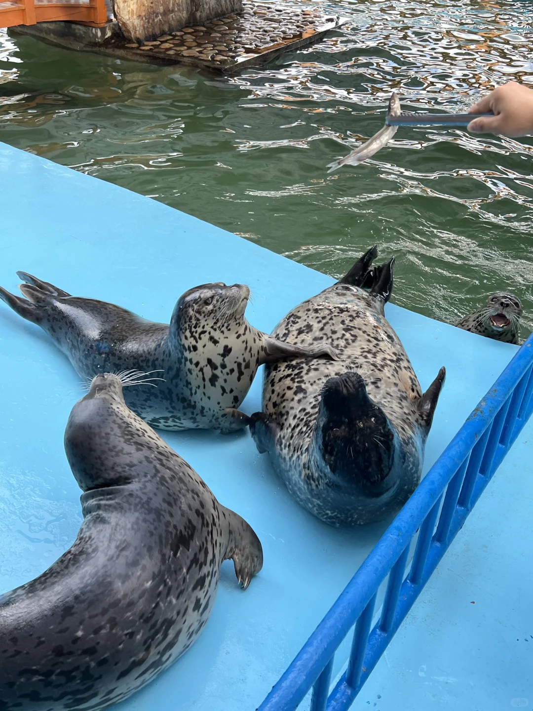 极限24h游长岛！旅游攻略码好！