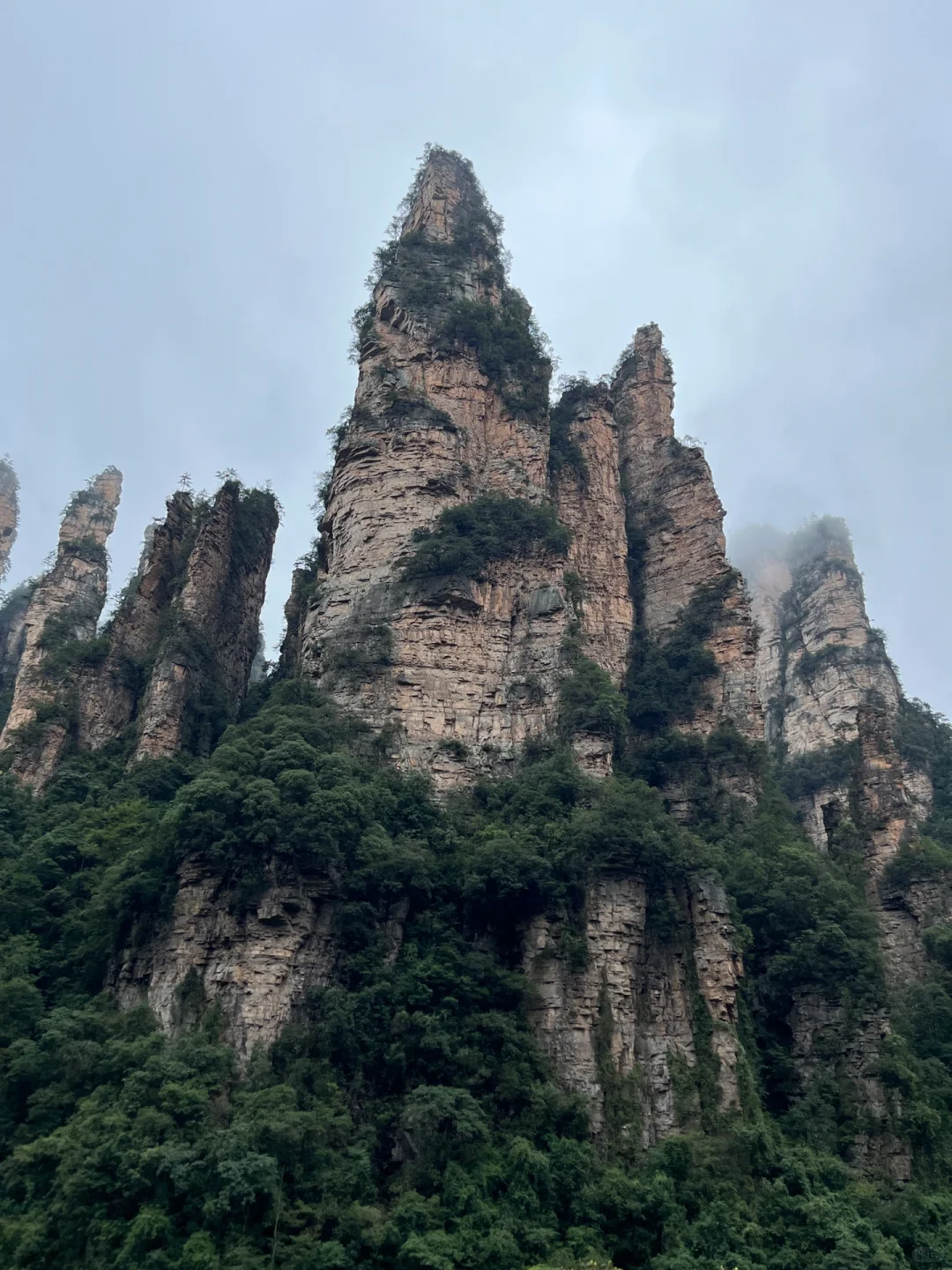 🇩🇪 德国“张家界”？德累斯顿Basteibrücke
