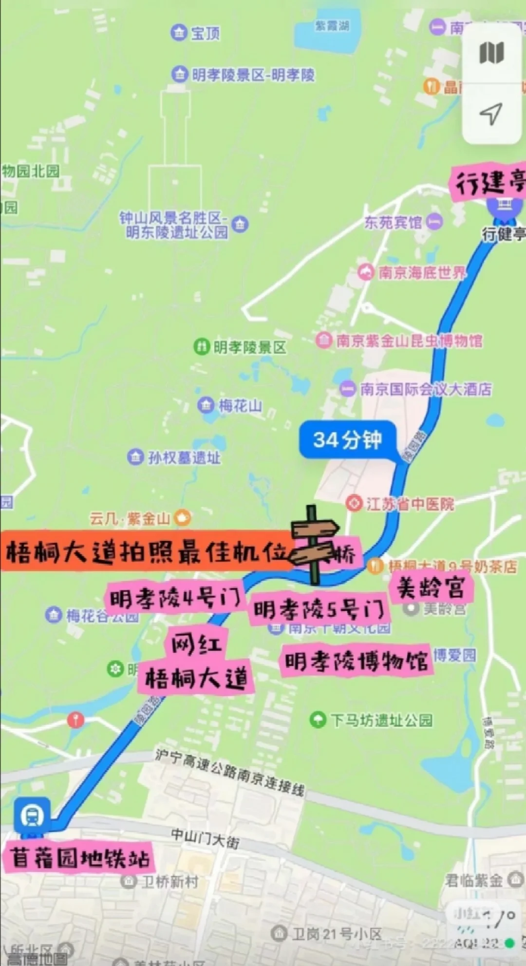 钟山风景区终极秘籍：想保腿不废电车是刚需