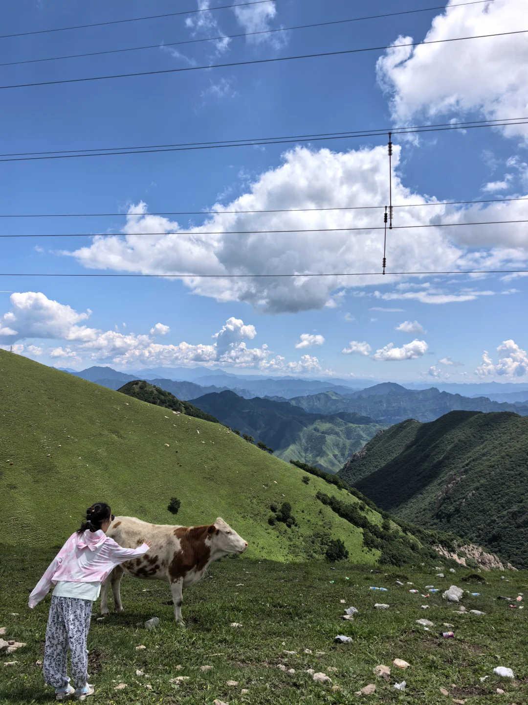 山东德州出发，去河北阿勒泰分泰-茶山
