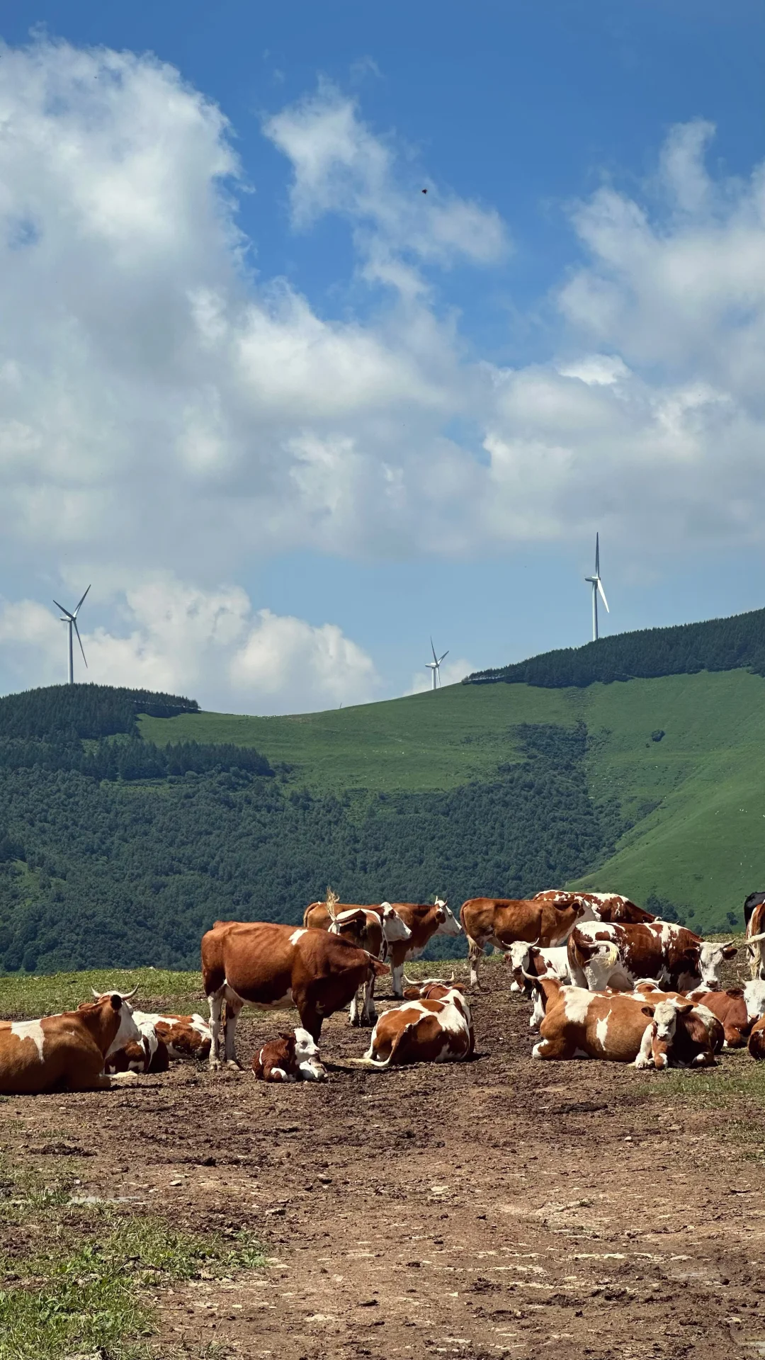 这么近 那么美 周末到河北⛰️