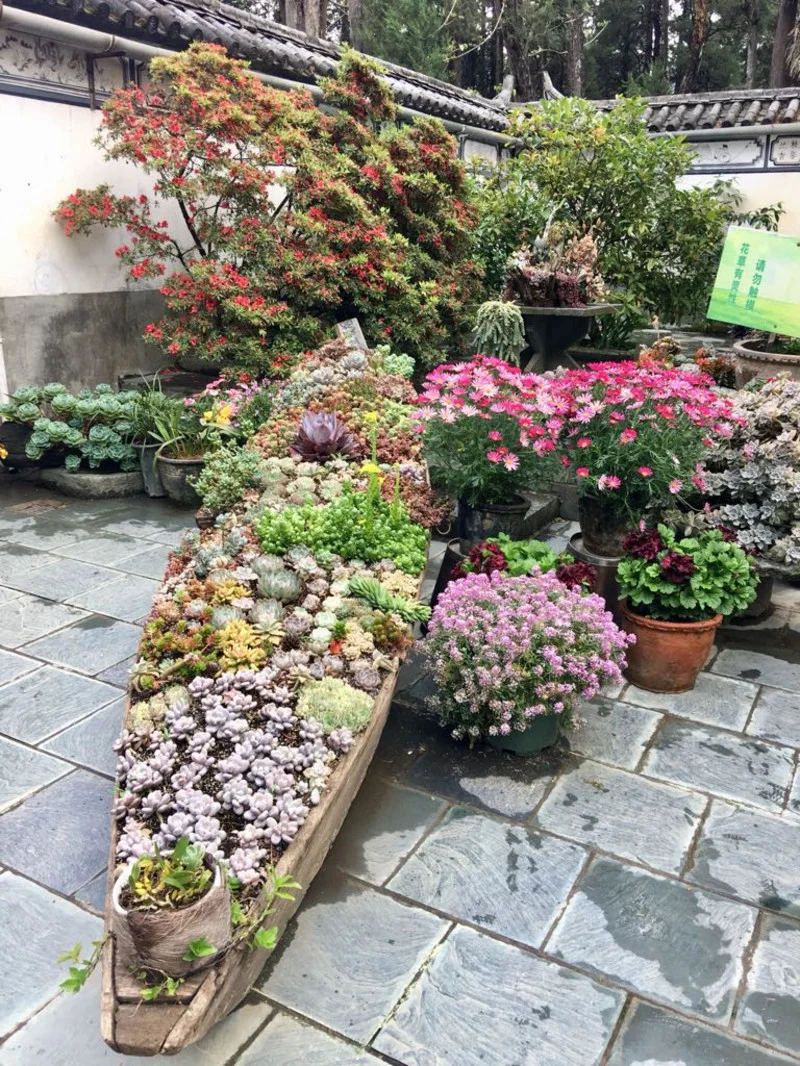 ✨苍山感通索道与寂照庵的绝美邂逅✨