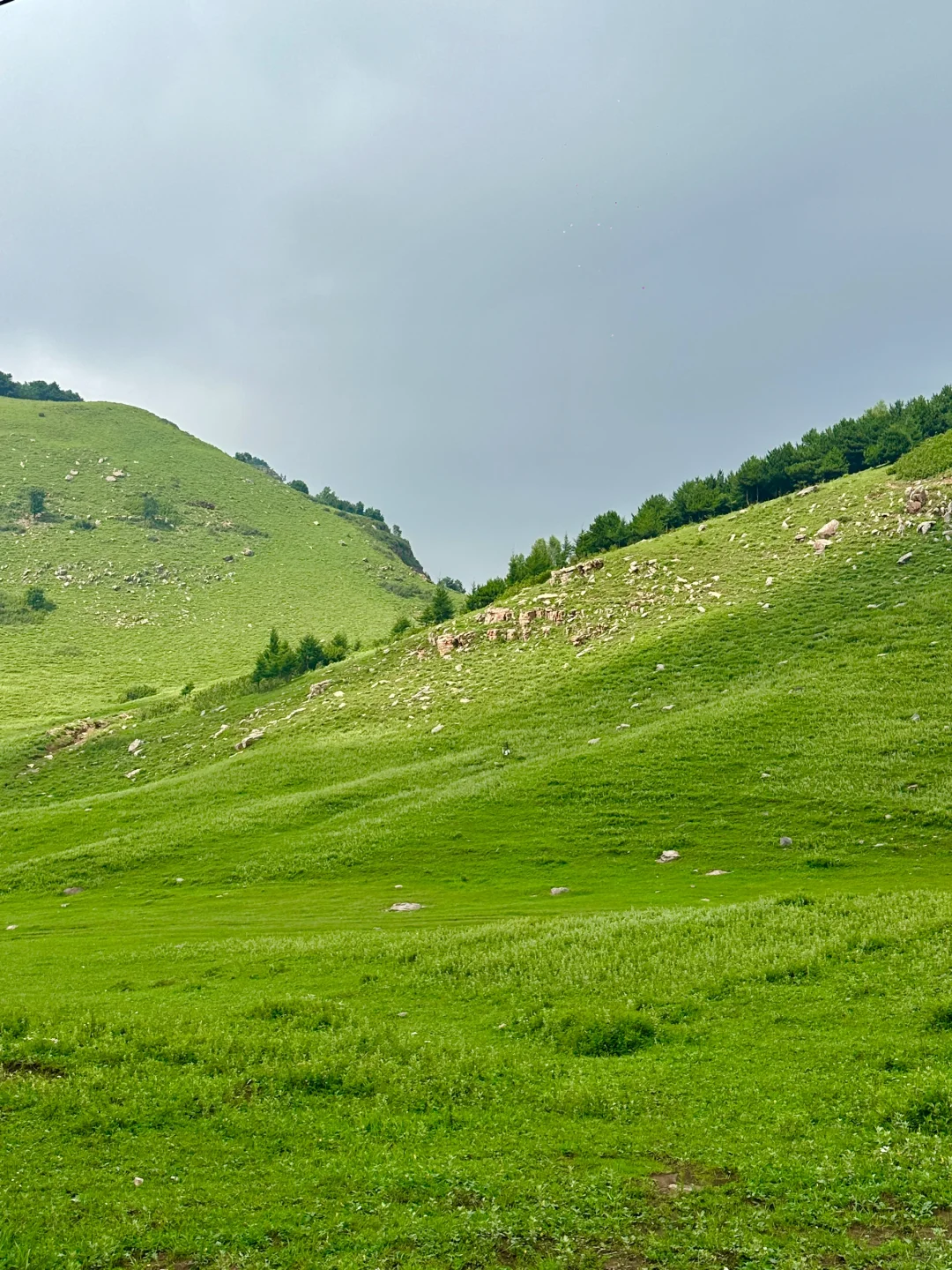 邯郸周边游：宠物友好的走马槽真的太棒啦