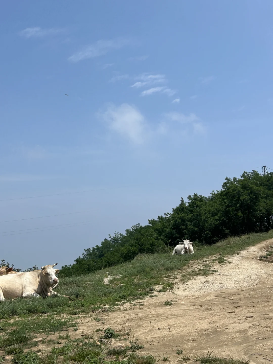 三门峡竟然有这么好看的地方！！