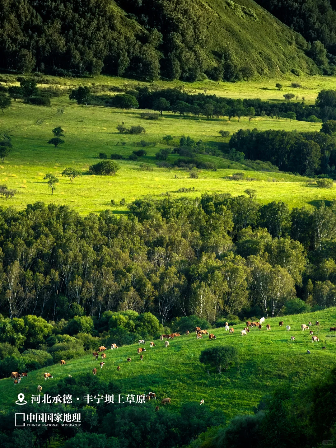 8月，应该去哪儿玩？