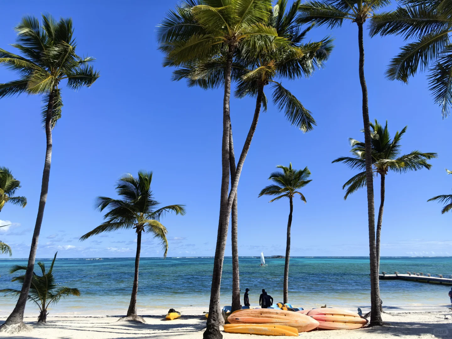 多米尼加、特立尼达及多巴哥---拉美旅游31