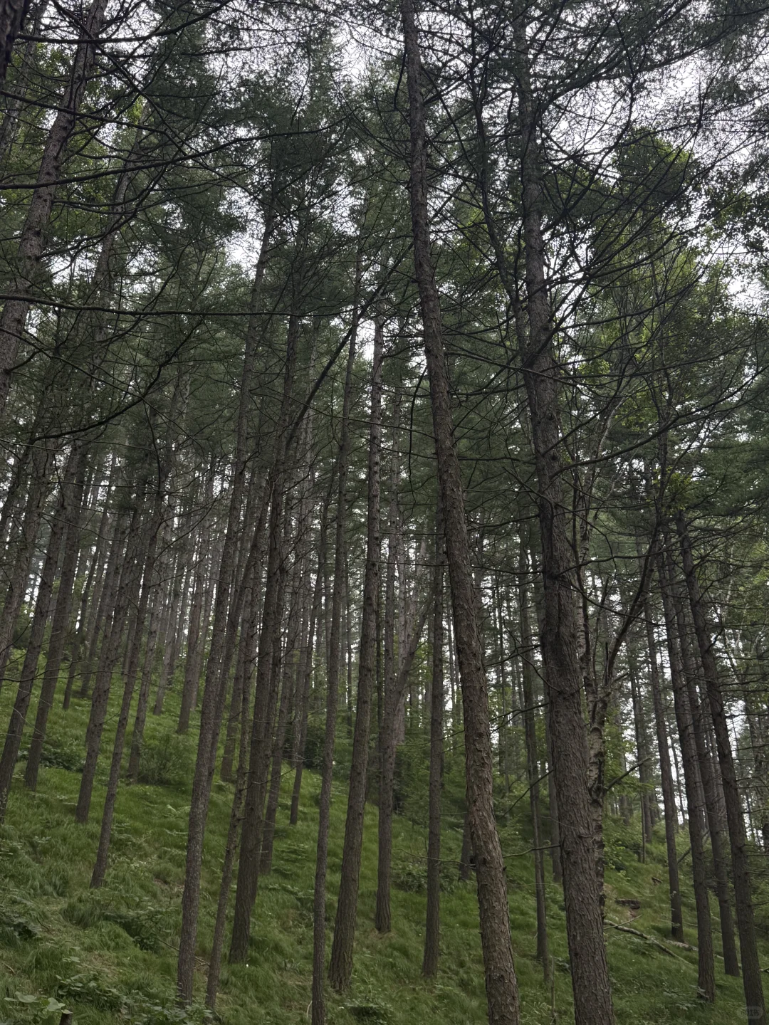 河北驼梁一日游