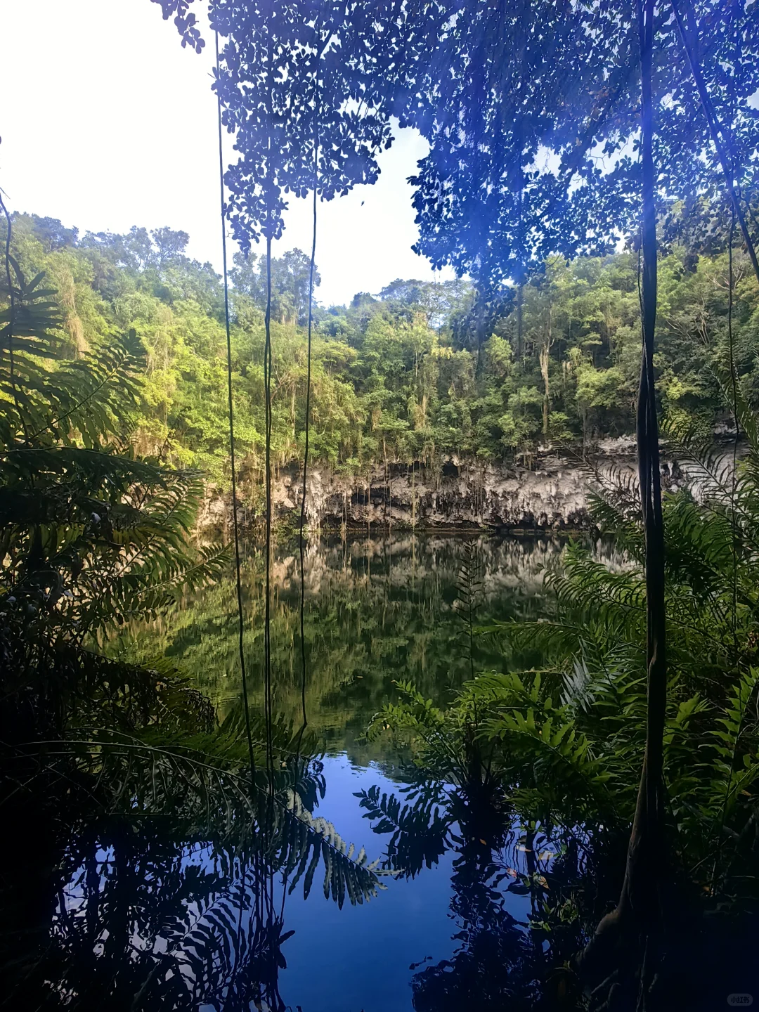 多米尼加、特立尼达及多巴哥---拉美旅游31