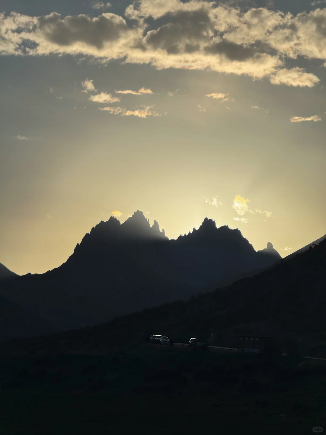 一天经历了莲宝叶则春夏秋冬