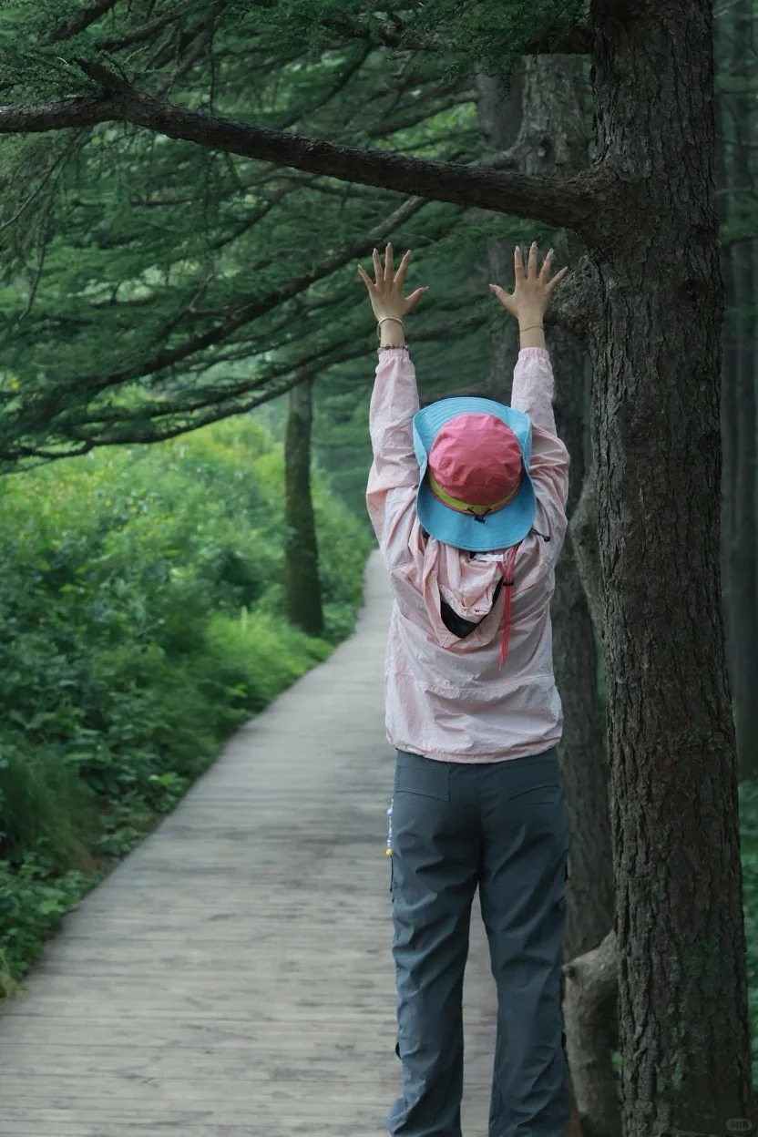 驼梁好美，还想再来！