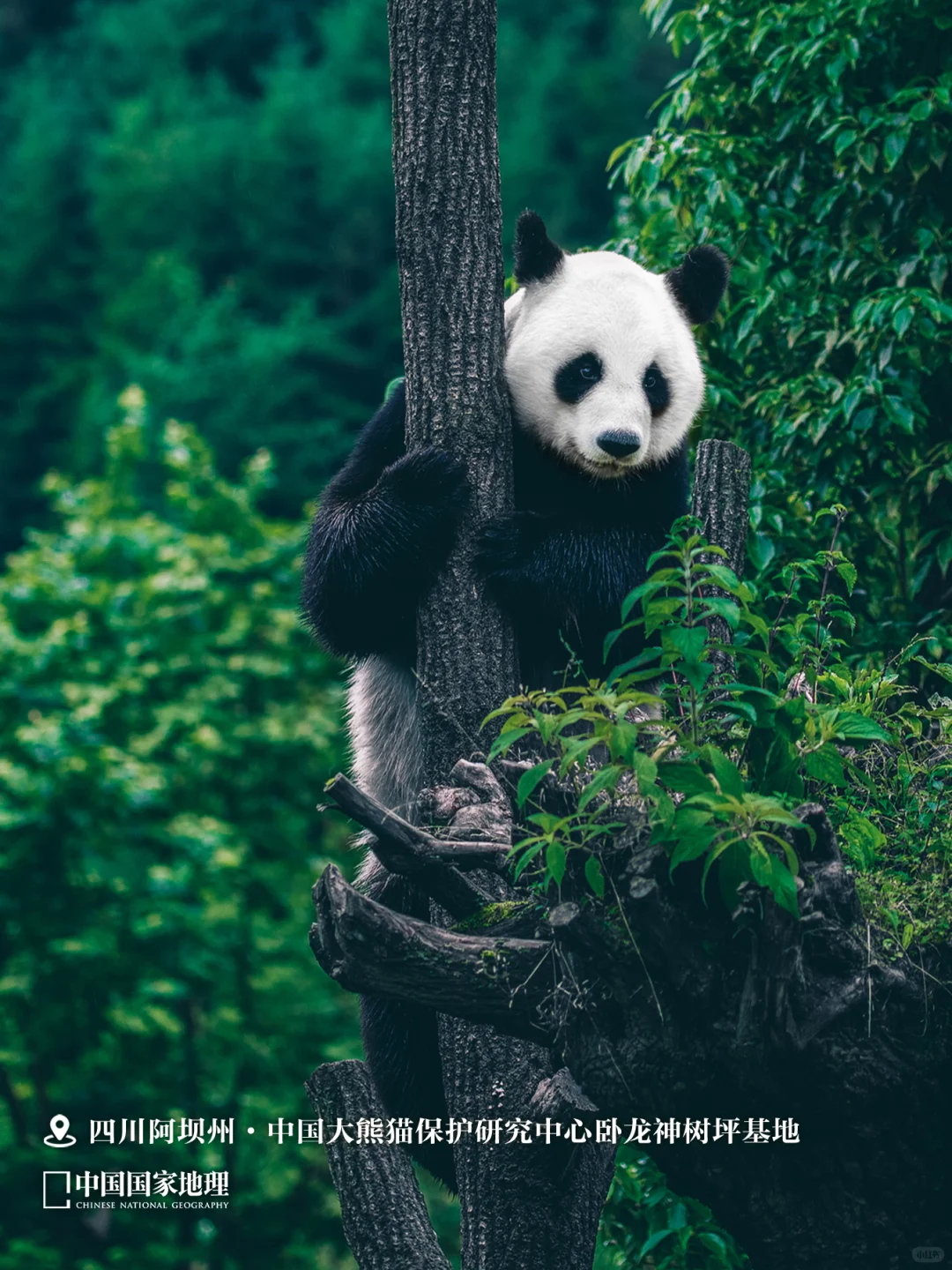 8月，应该去哪儿玩？