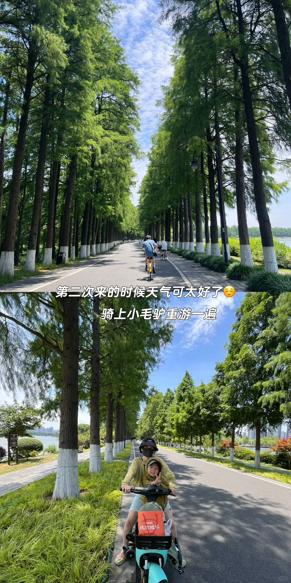 因为东湖 爱上武汉