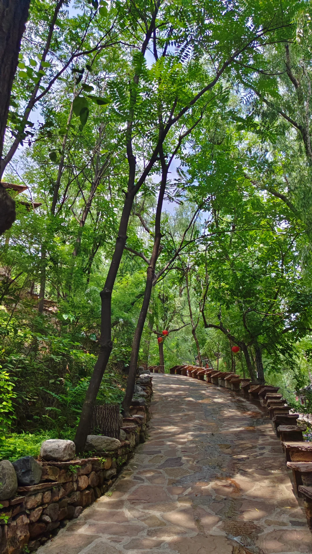 遛娃挖到宝！门票2⃣️0⃣️➕北方小江南