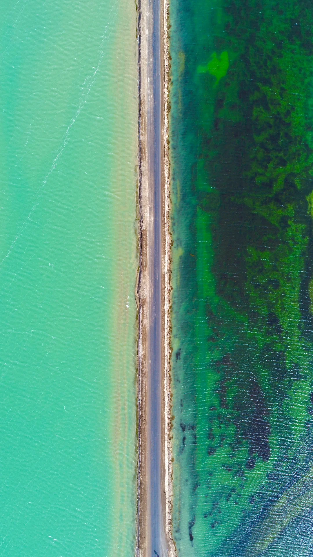 浅聊一下国内风景top4