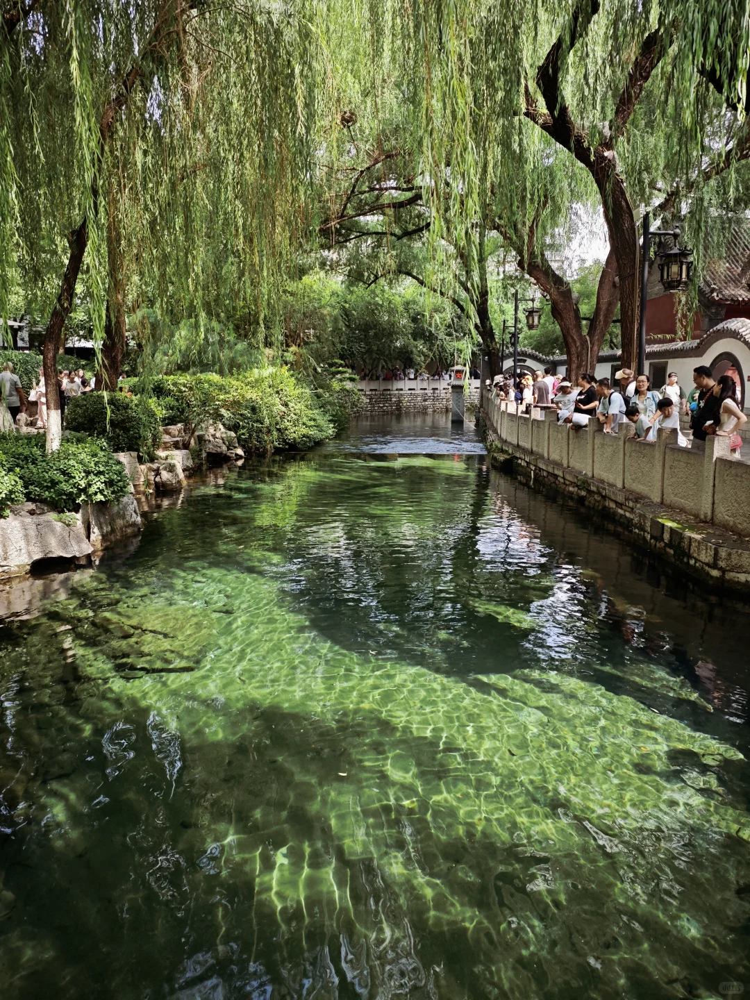 济南一日游记🌸🌸
