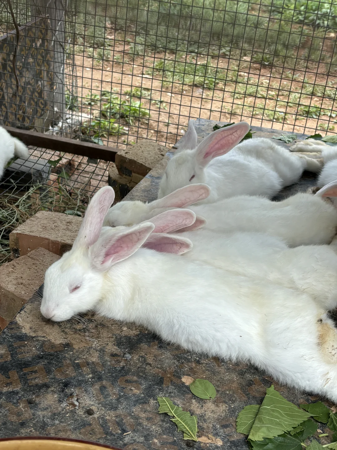 三门峡竟然有这么好看的地方！！