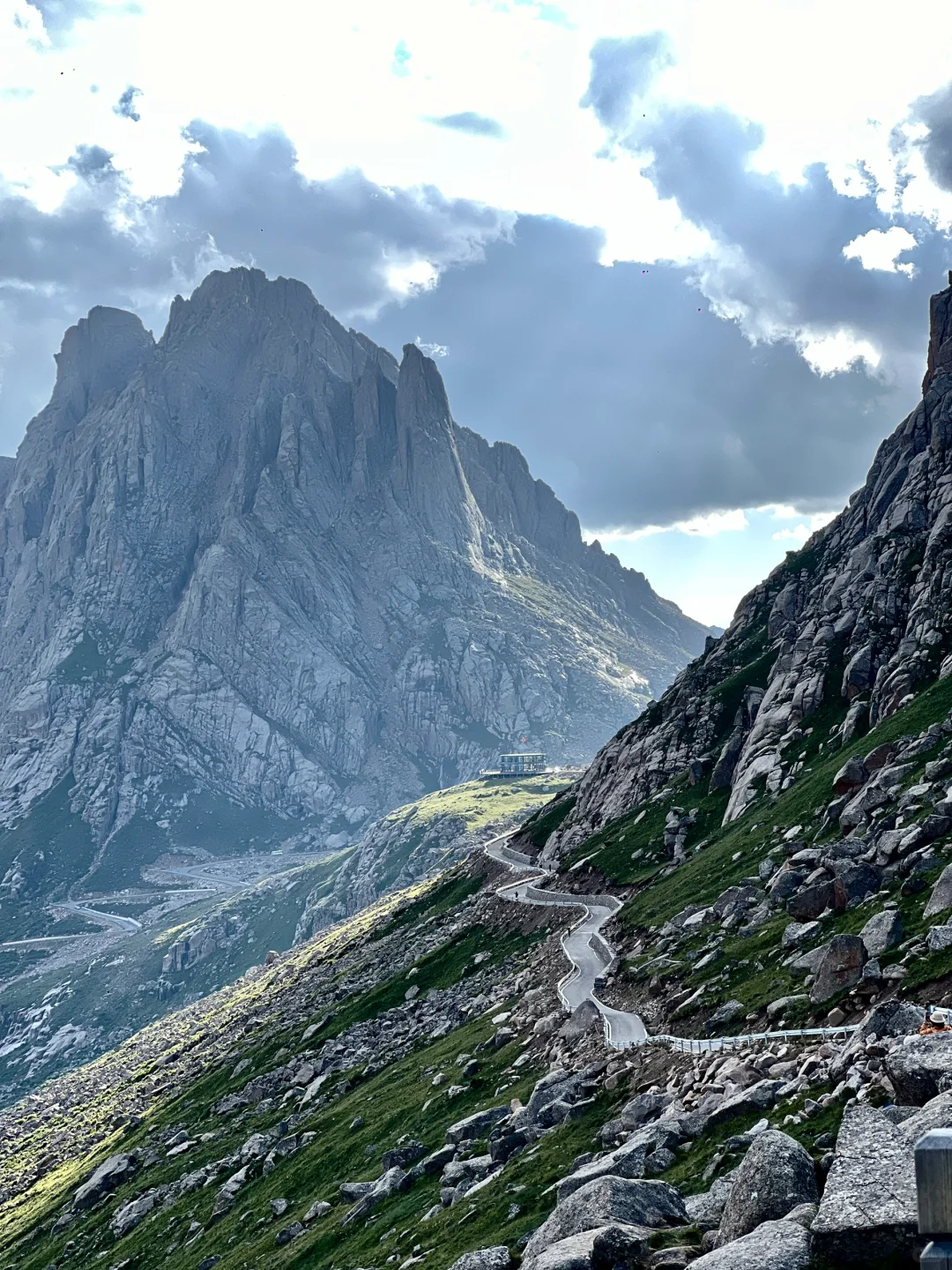 一天经历了莲宝叶则春夏秋冬