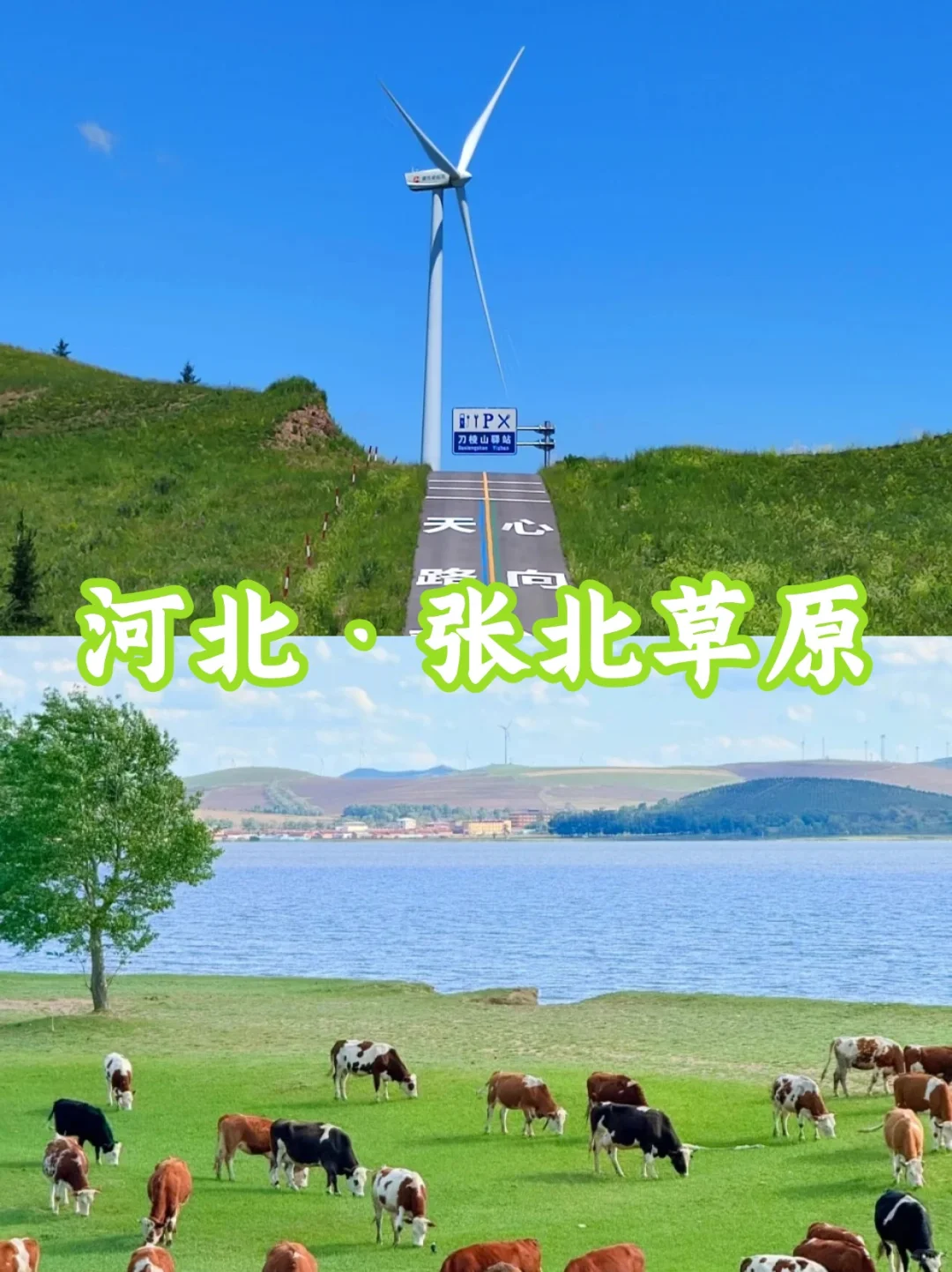 北京团建旅行 | 全国10大夏季团建避暑胜地