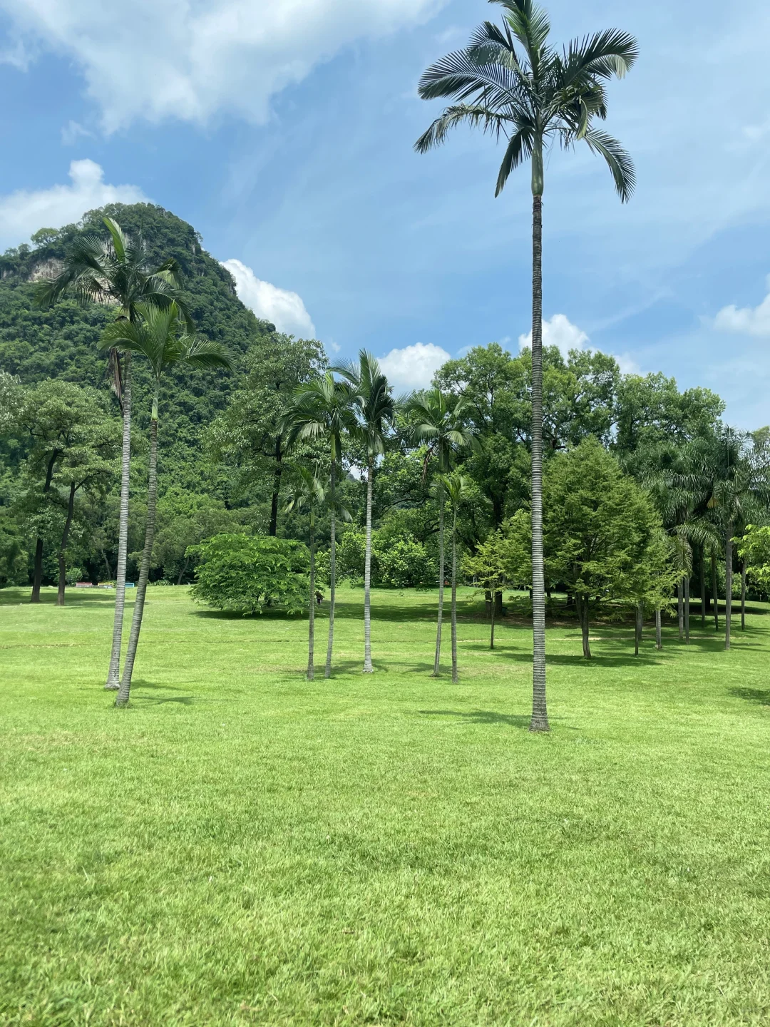 看图猜景点（柳州版）