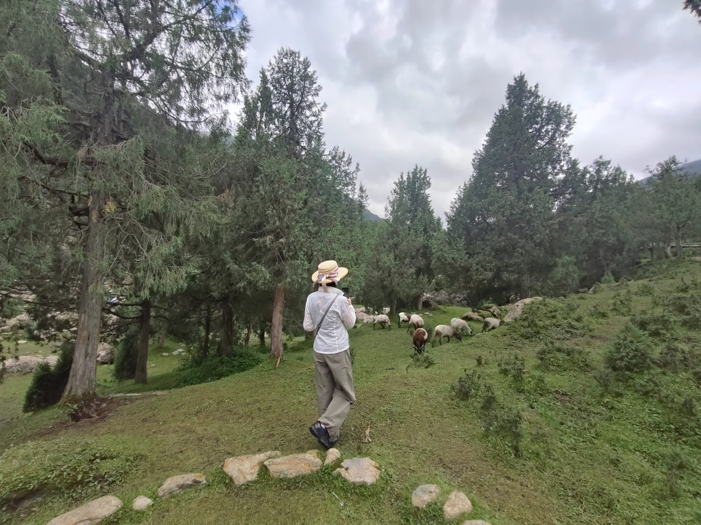 Day3 武威冰沟河景区，累，但真值