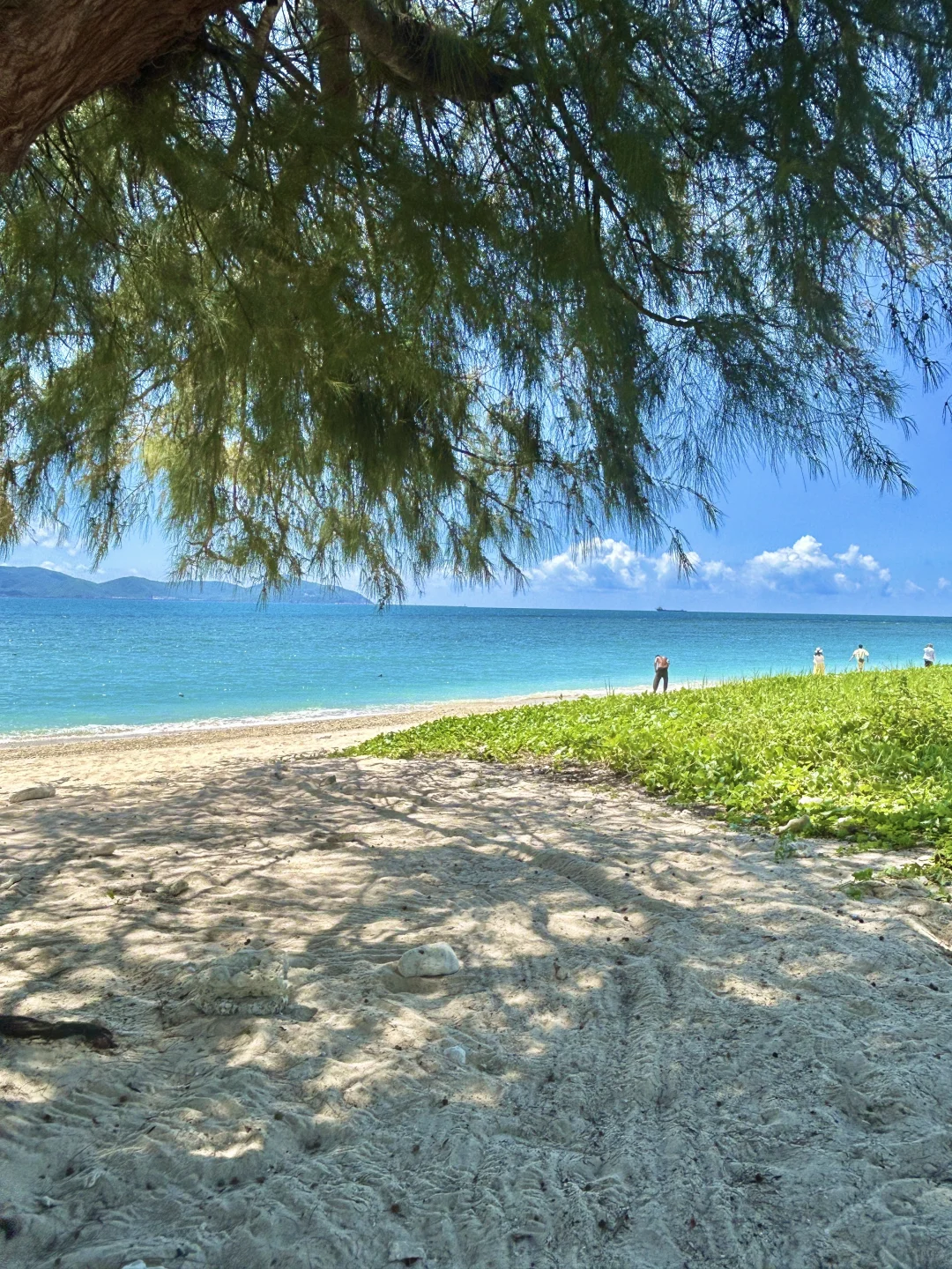 在三亚沙滩待了1天：原因是没预约😭