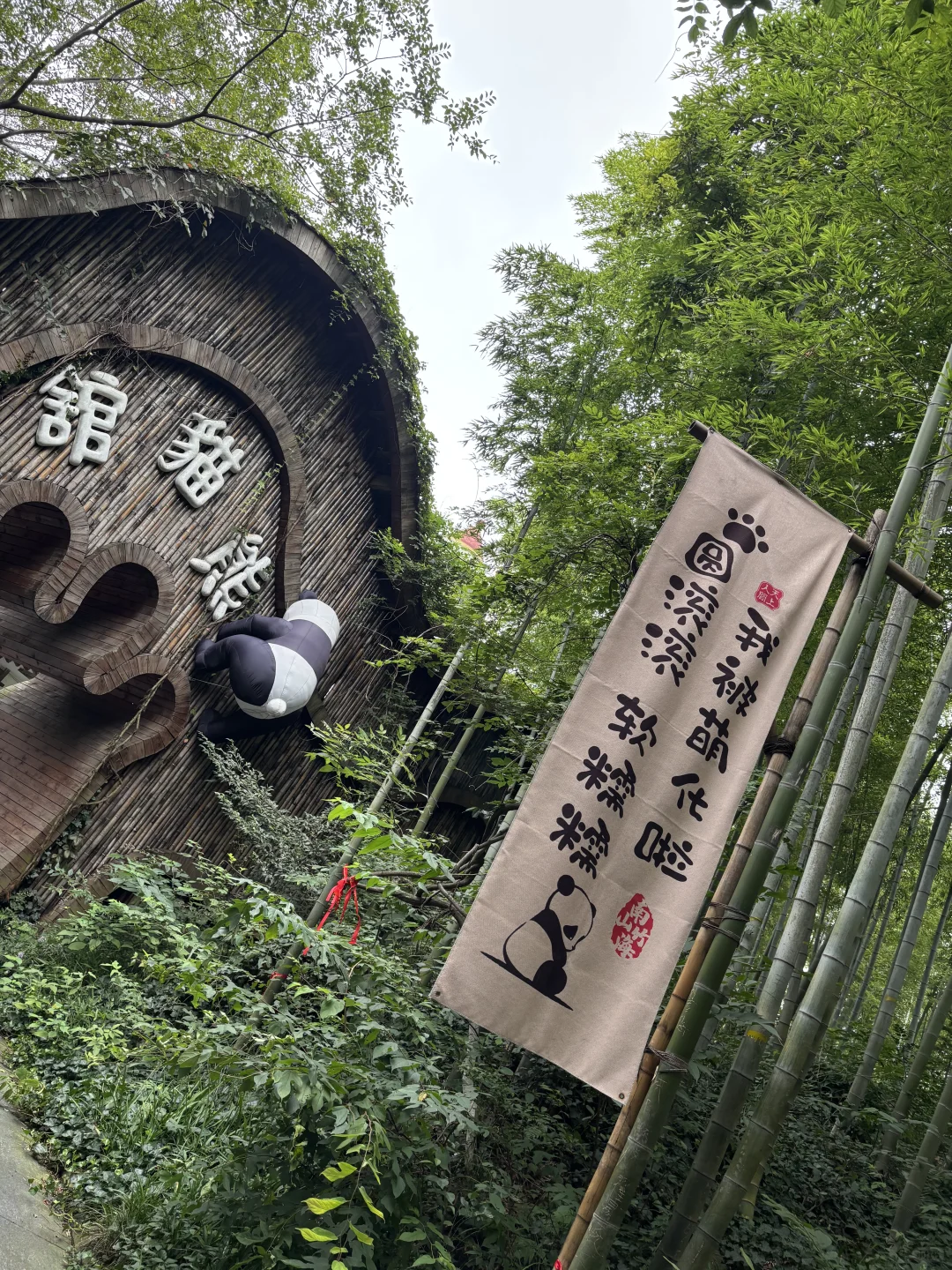 我又来到陌生的地方这里的话我一句也不会讲