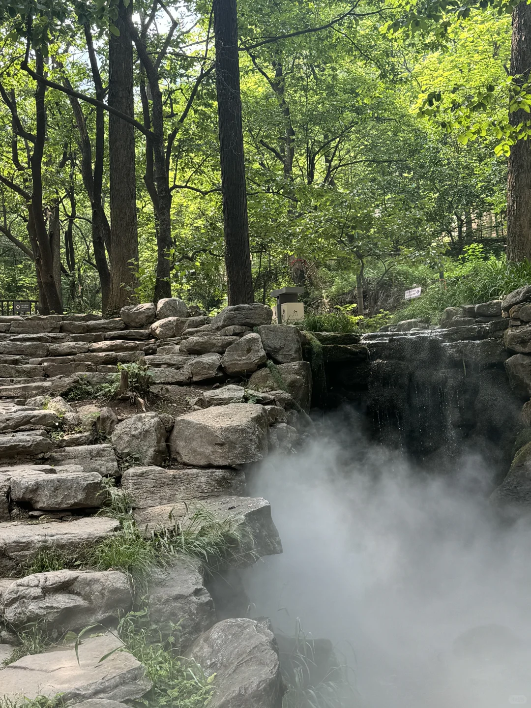云丘山|你们卷吧,我进山吸氧~🍃