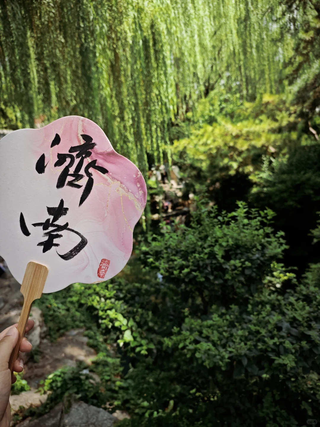 济南一日游记🌸🌸