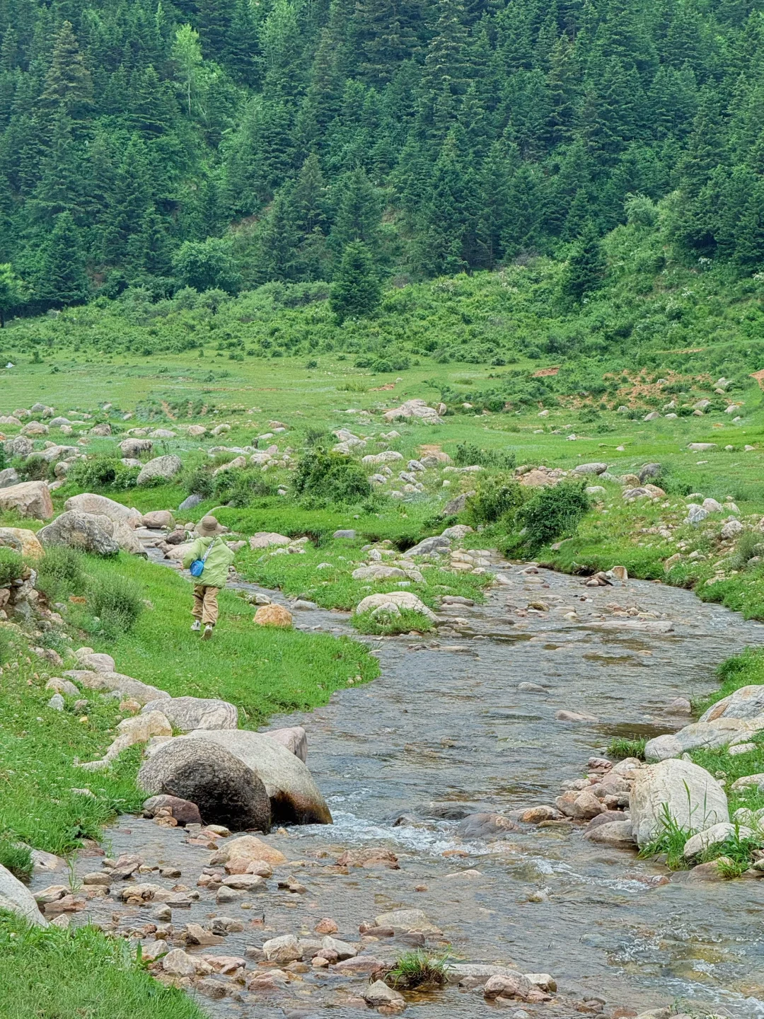 新线❗️西安3天2晚✅仿若“新疆那拉提”好凉快！