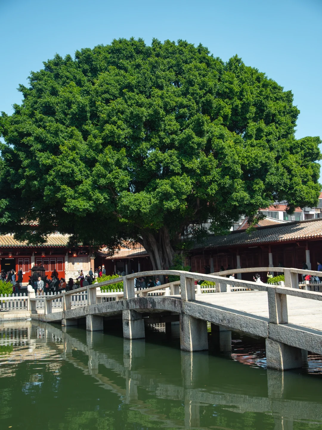 以为厦门已经很美了，直到我去了泉州……