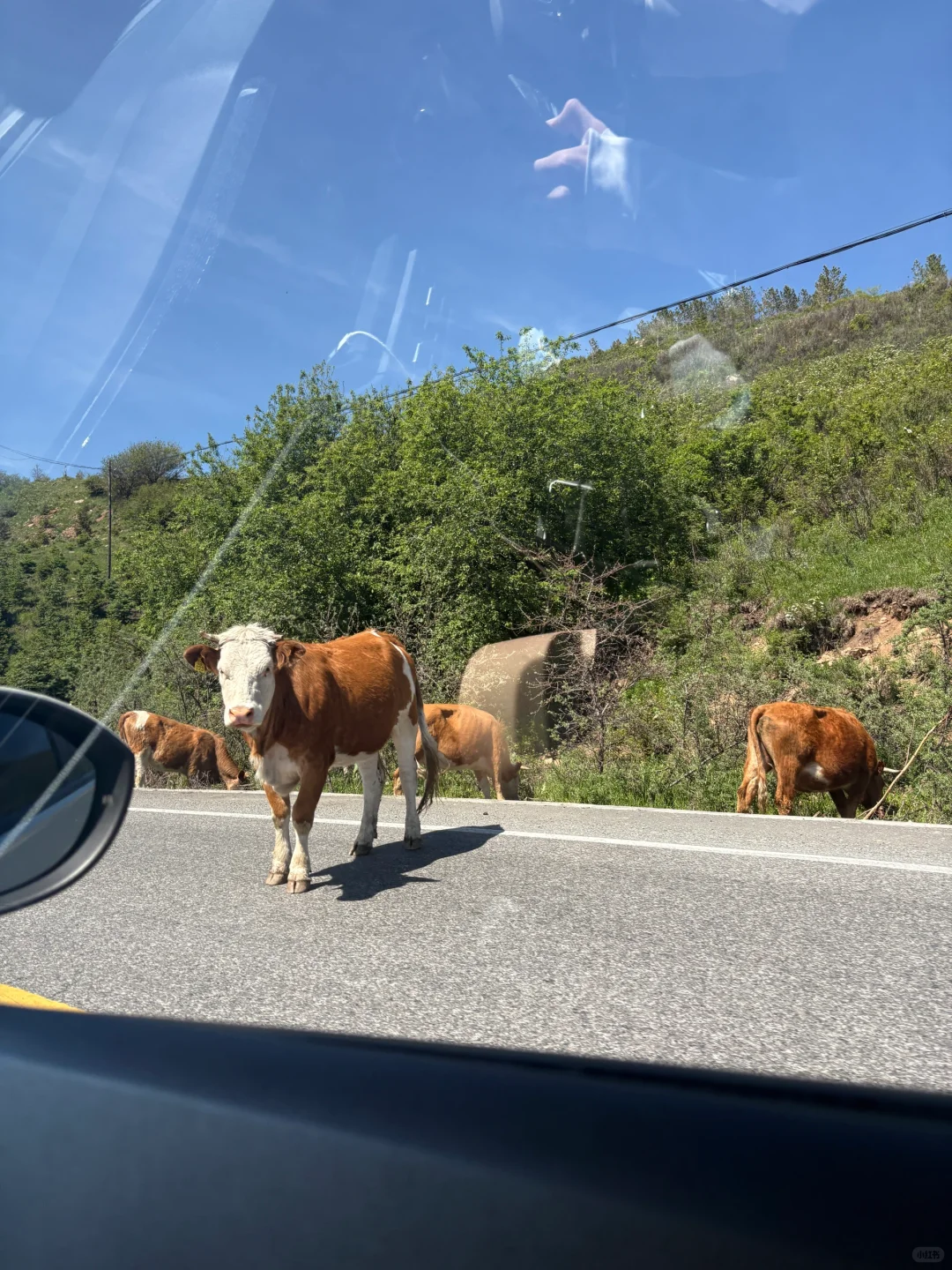 ✨周末逃离北京，去河北草原避暑度假被美哭