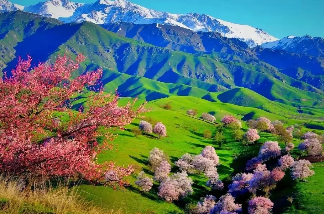 十大国内旅游必去天花板，你去过几个呢?