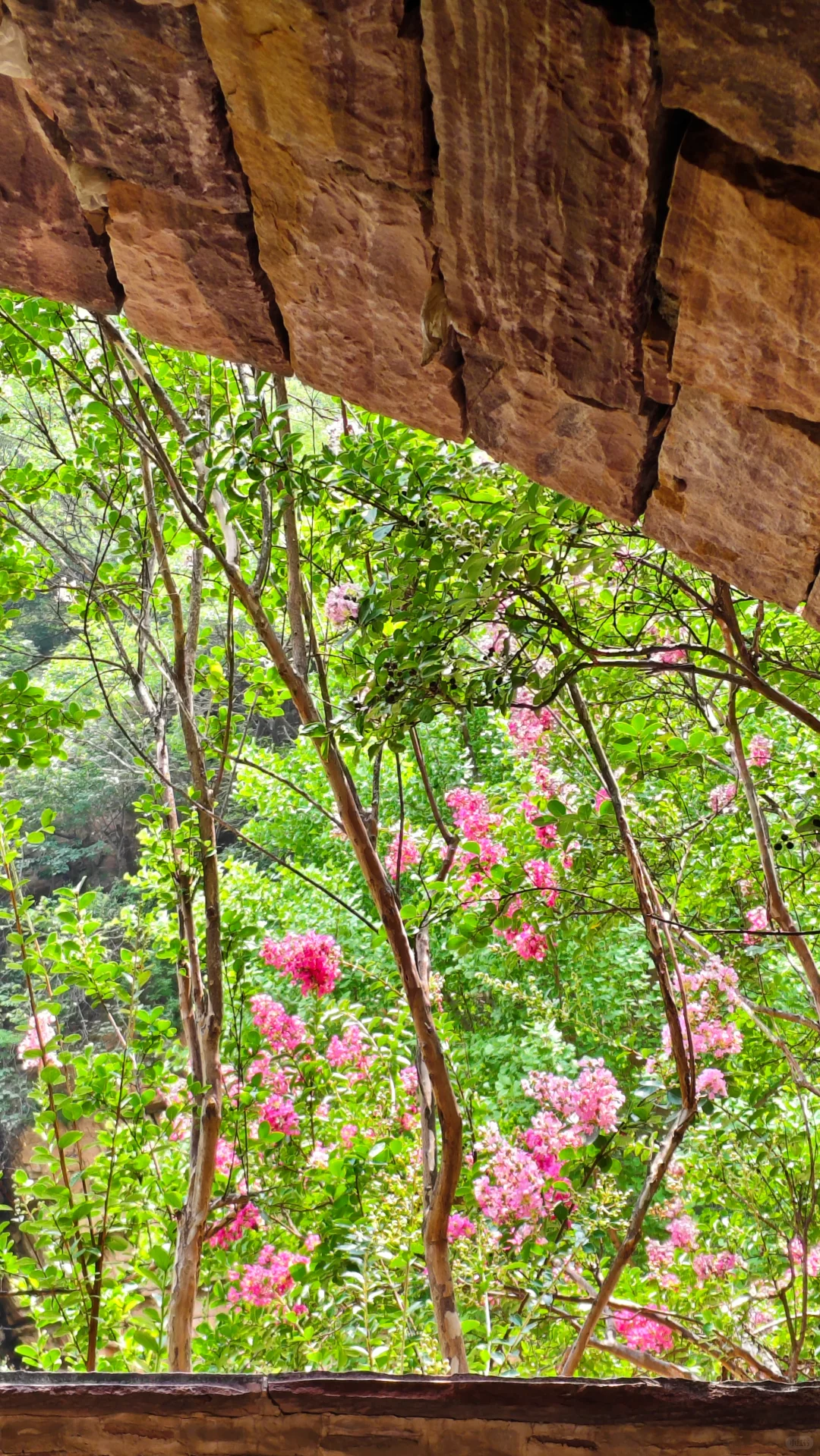 遛娃挖到宝！门票2⃣️0⃣️➕北方小江南