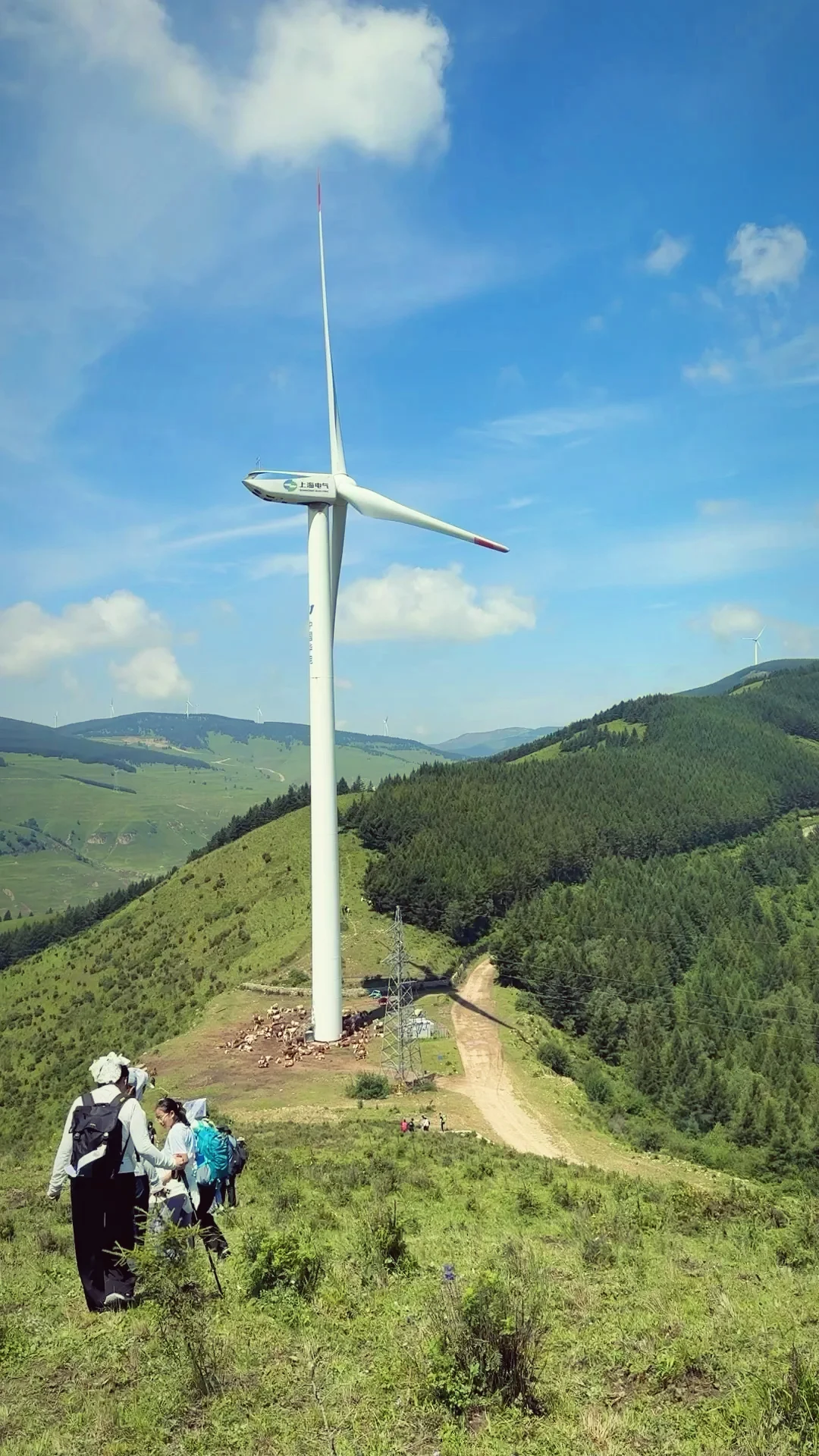 这么近 那么美 周末到河北⛰️