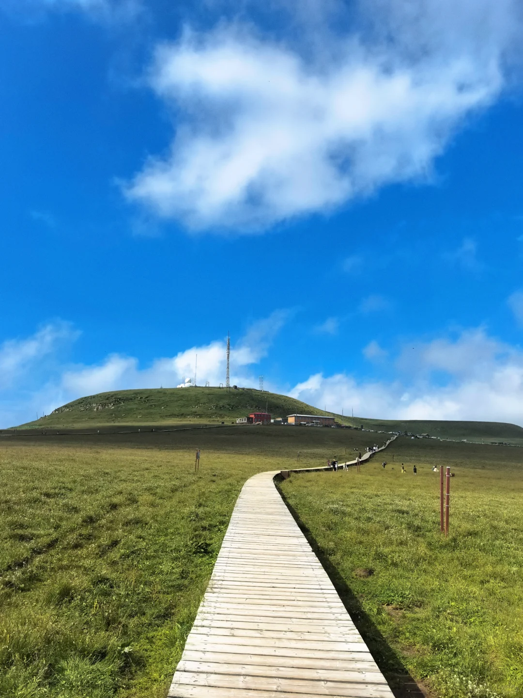 🌿忻州4日游，意外邂逅的避暑天堂！