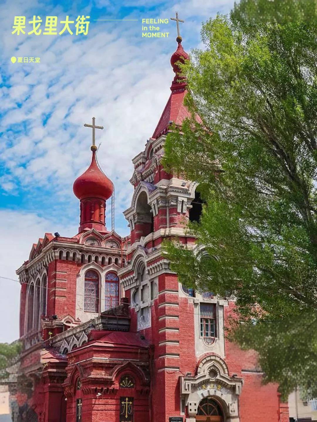 真的没出国！暑假尔滨异国风情旅游景点🈴️集