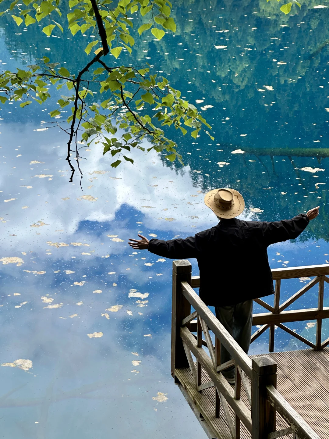 💥35 元直达九寨沟！高铁党自由行看过来！